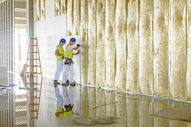 Best Commercial Insulation in Sundown, TX